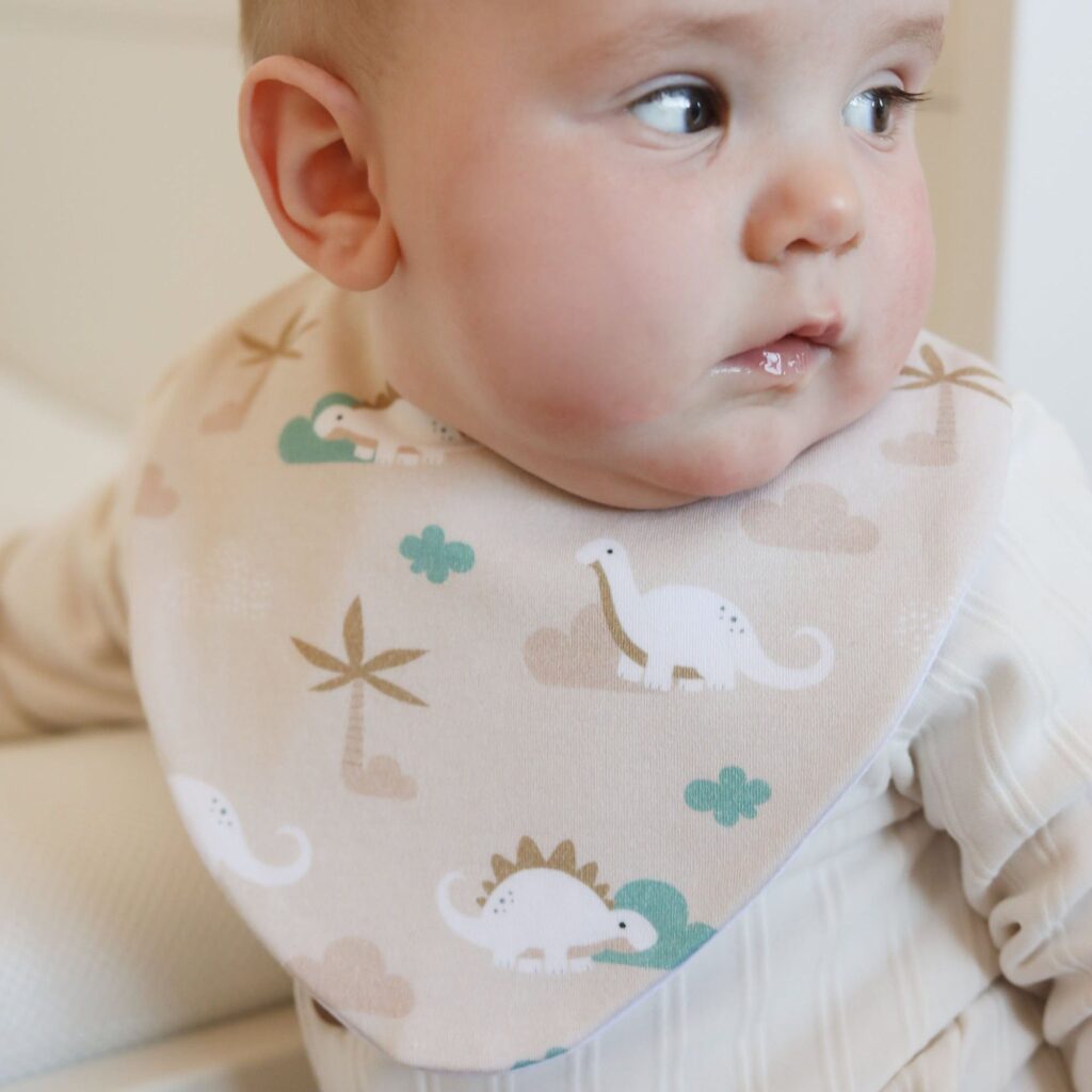 Dino Clouds Waterproof Dribble Bib – Baby/Toddler